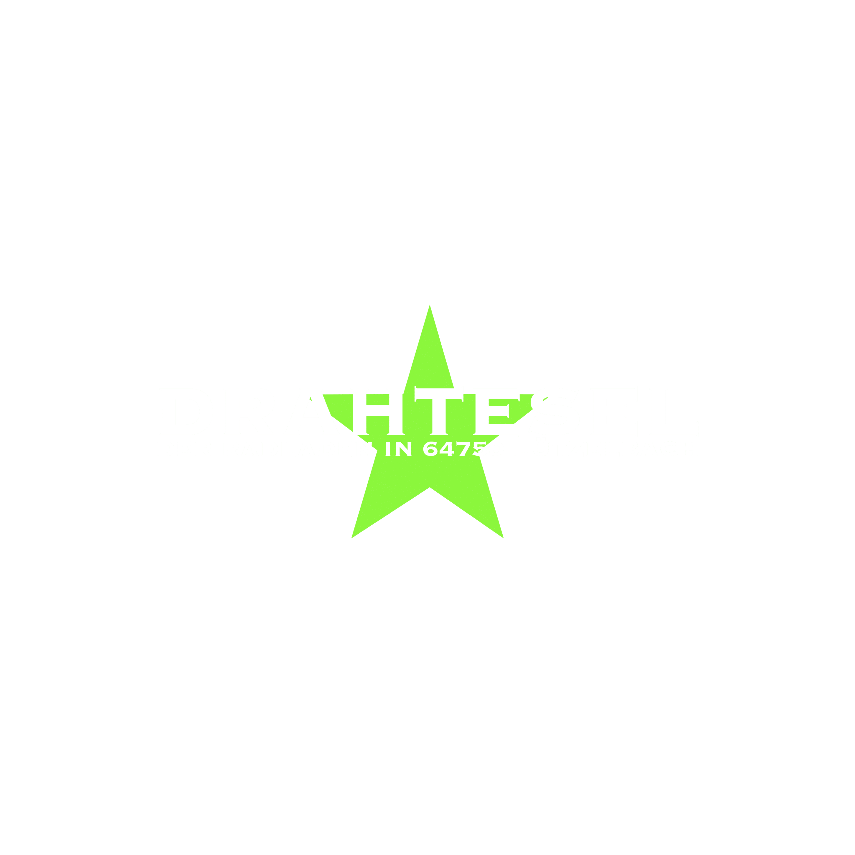 Logo Drahtesel_Zeichenfläche 1