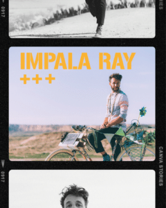 Impala Ray Collage INSTA