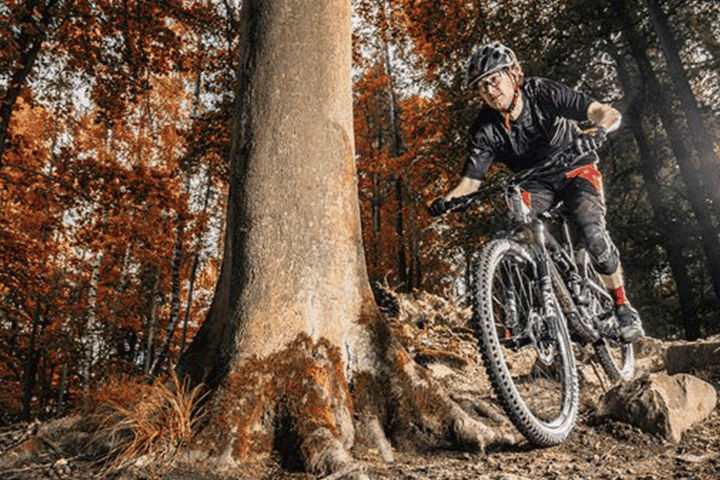 Im Herbstlichen Wald fährt von rechts ein Biker mit Helm ins Bild